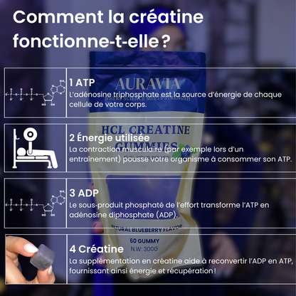 AURAVIA - Creatine HCL Gummies